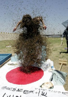 Bees against Japan 2