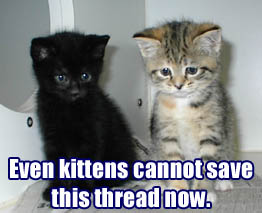 thread kittens
