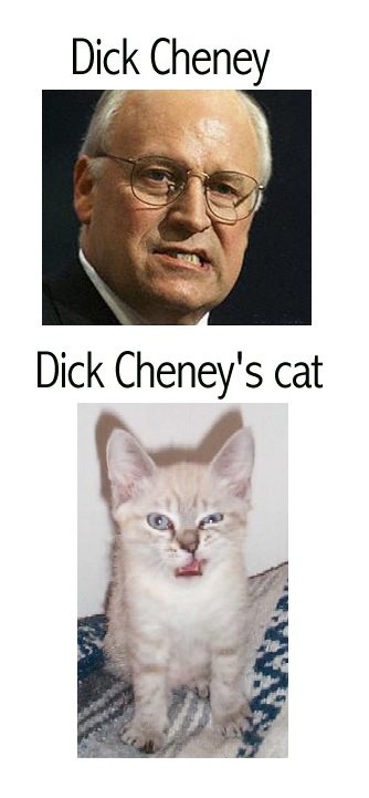 Cheney's son was a Cat!