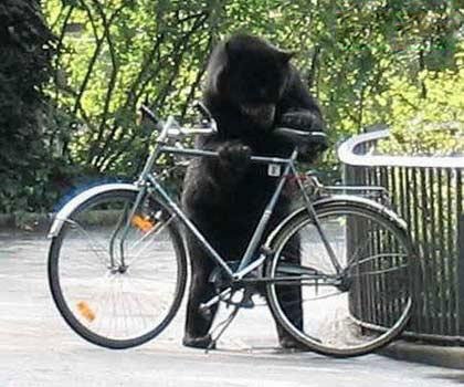 I´d love to have my bike back, Mr. Pooh..
