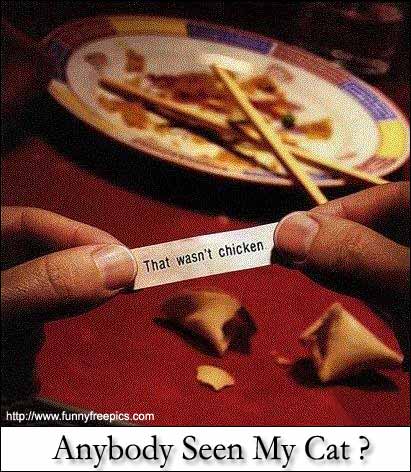 Fortune Cookies lost their appeal......