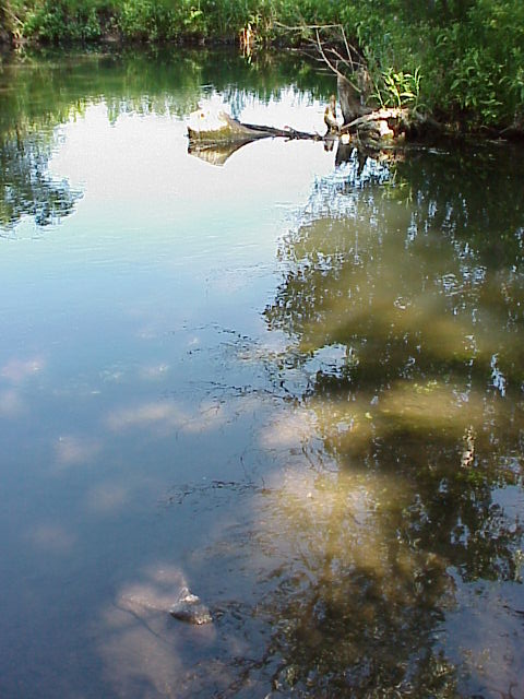 Beaver creek