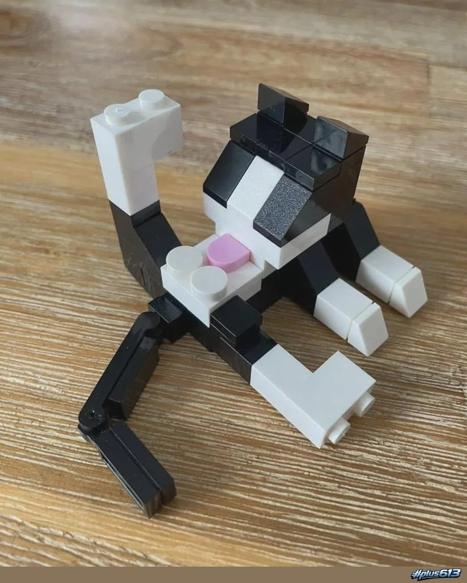 Lego animal series 