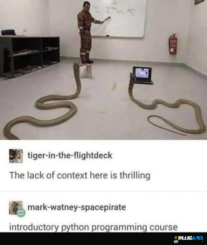Introductory Python