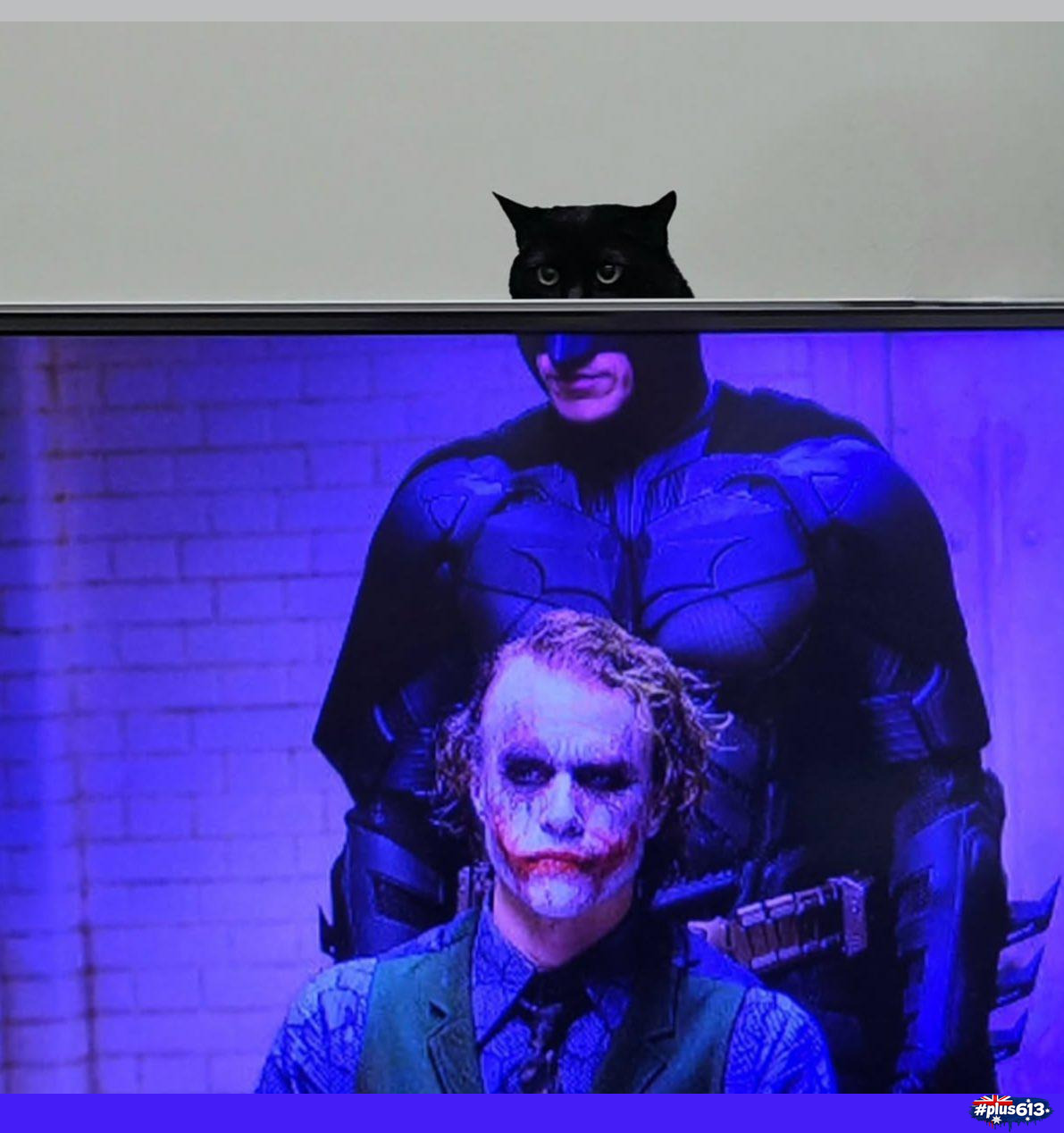 I'm catman
