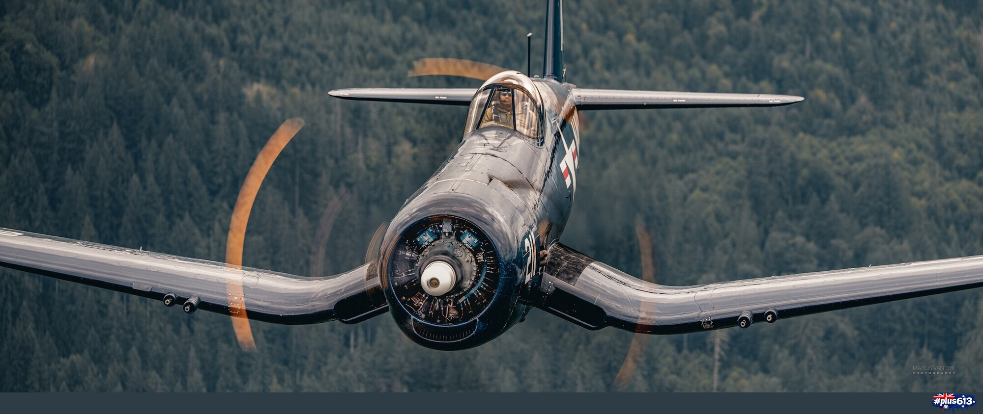 "Warbirds: F4U Corsair" by marius van dyk