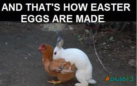 How Easter eggs are made