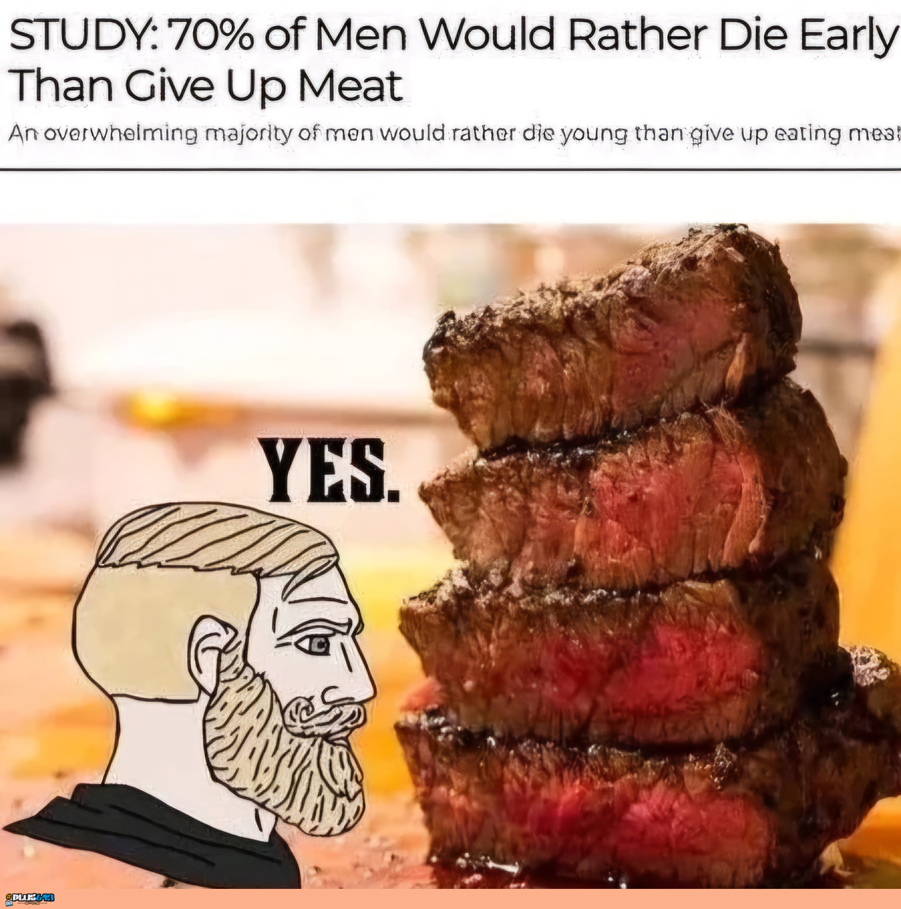 I don't even understand the choice 
