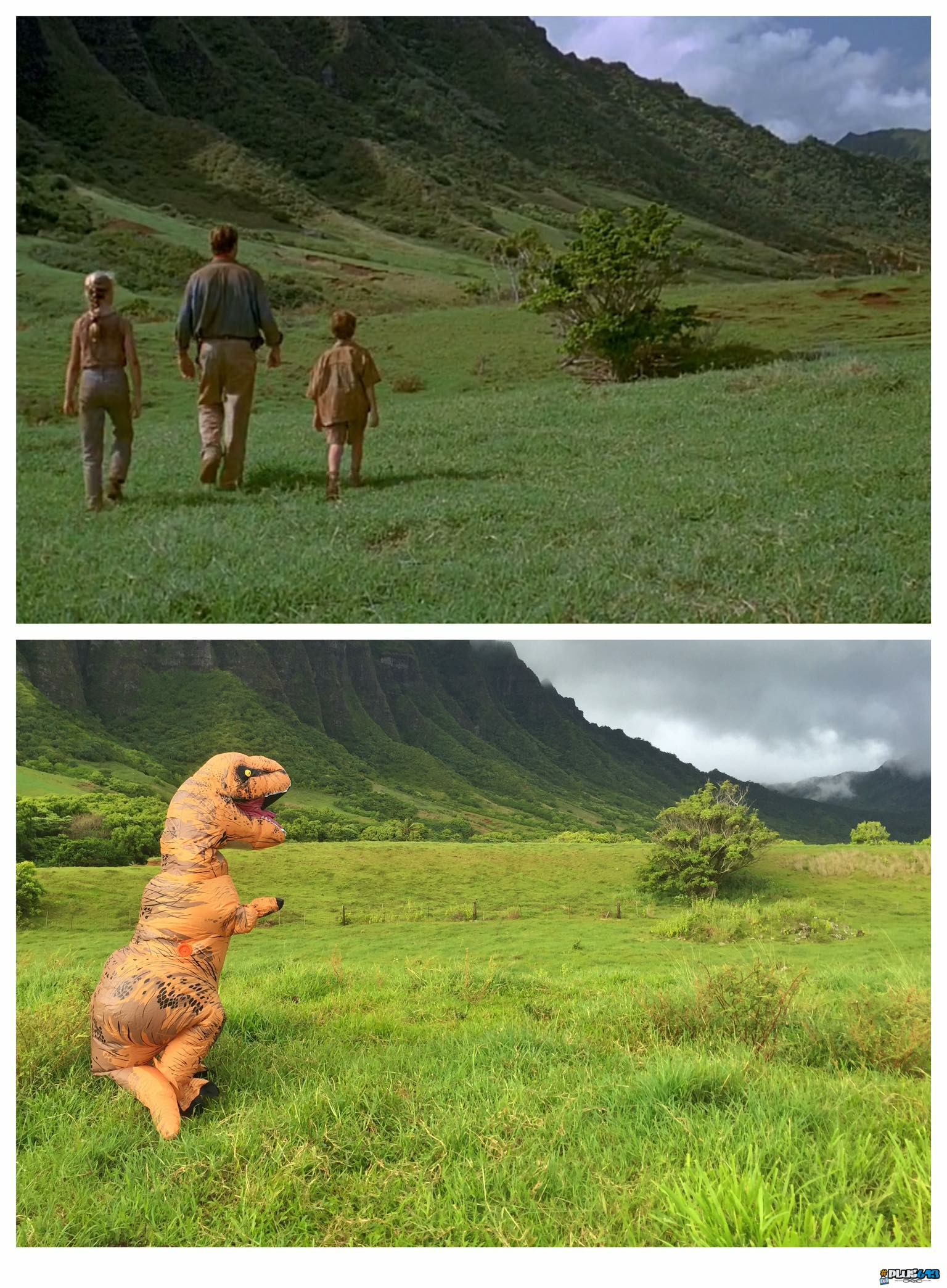 The dinos are still there