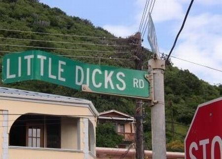 Little Dicks Road