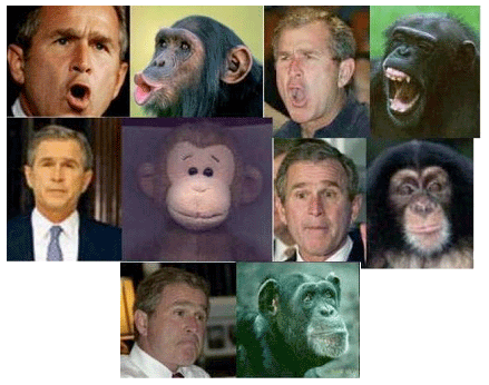 The many faces of Bush