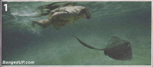 Steve Irwin's Last Swim 1
