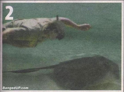 Steve Irwin's Last Swim 2