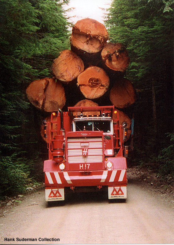 more lumber