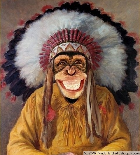 Chief Chimp