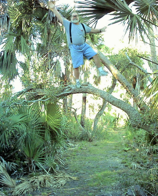 Planning a Florida vacation? Watch out for the lunatics in the trees.