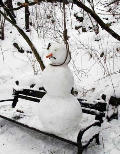 WHO HUNG THE SNOWMAN