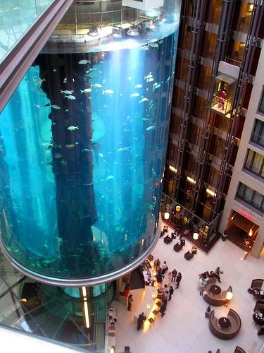 now that's a fish tank!