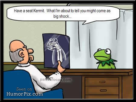 Kermits Doctor