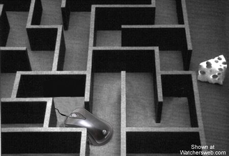Mouse in a Maze