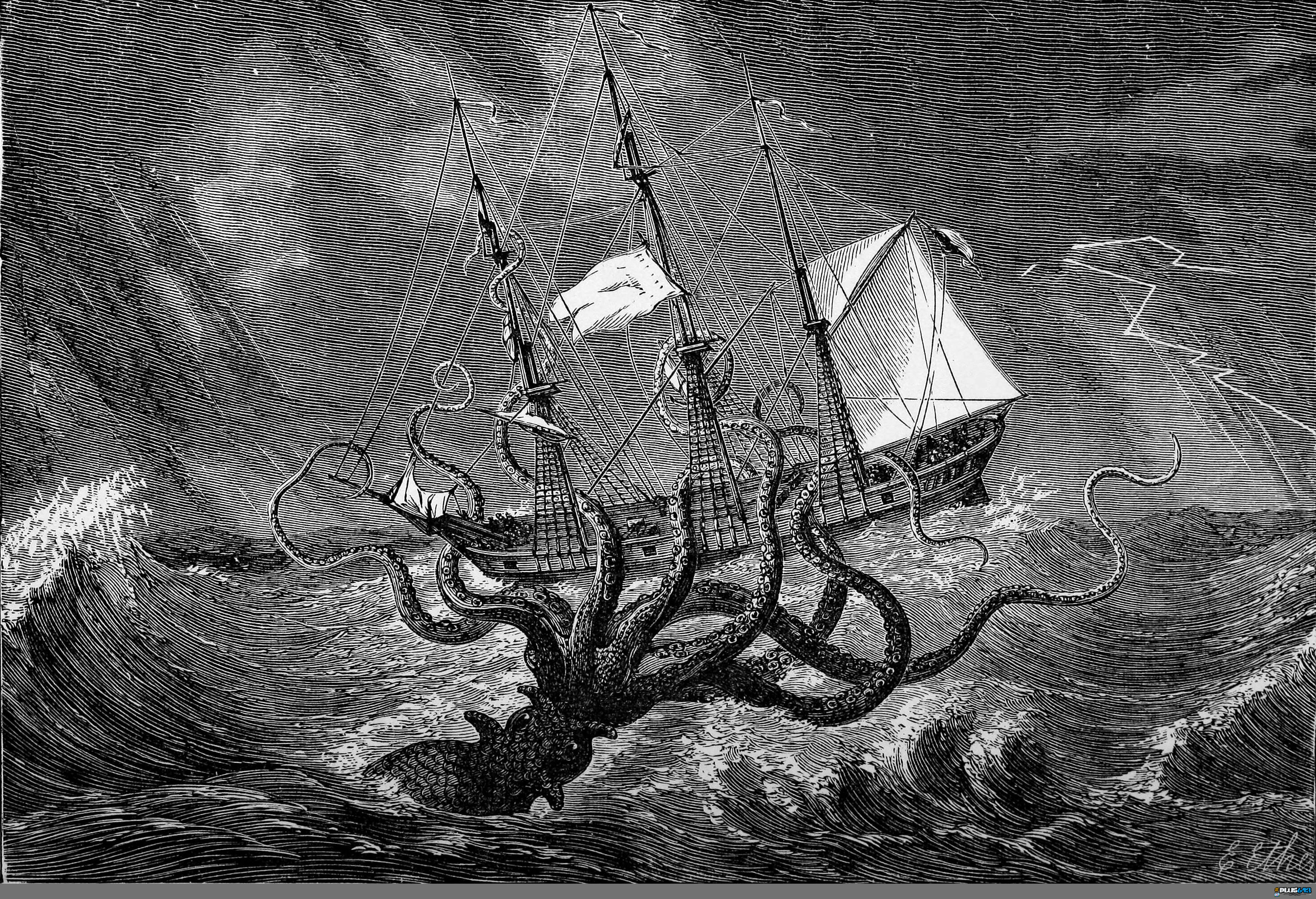 Wallpaper - Edgar Etherington - giant octopus attacks ship