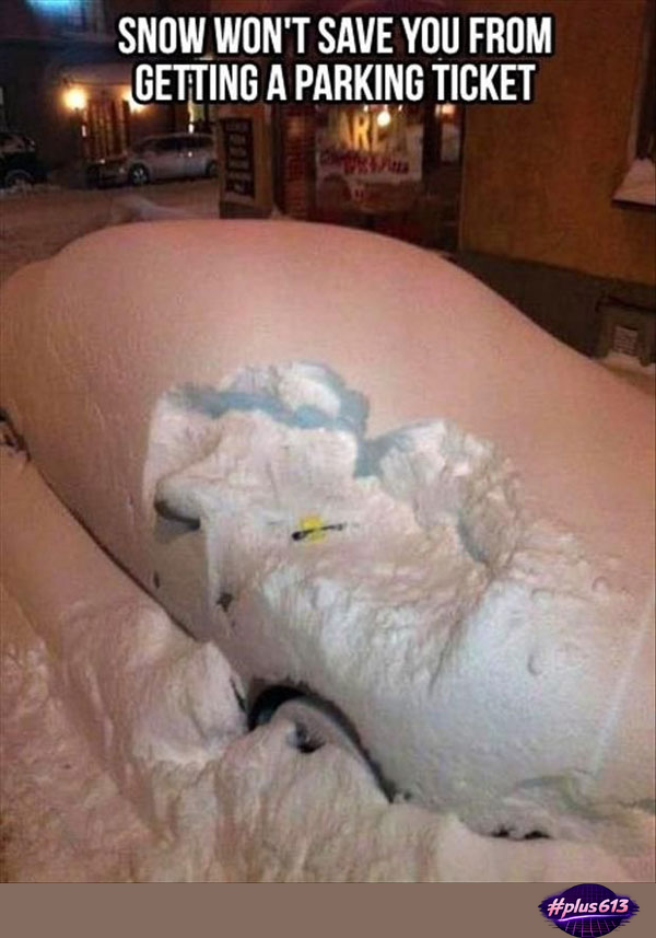 Snow day!