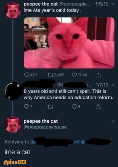 ime a cat