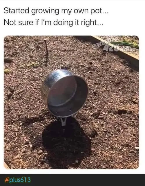Keep watering it