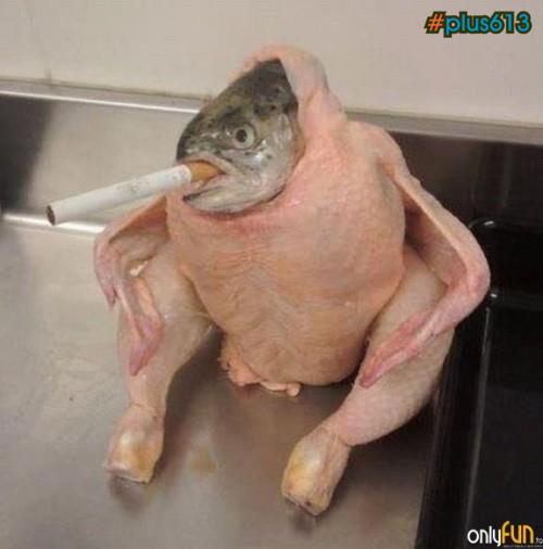 I don't know how to explain this. Ficken smoking?