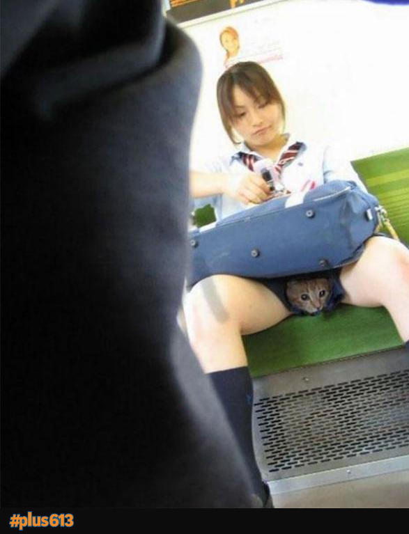 Upskirt pussy