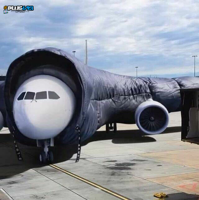 homie boeing in the house