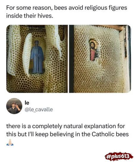 Religious honey