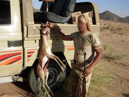 hunting in jordan