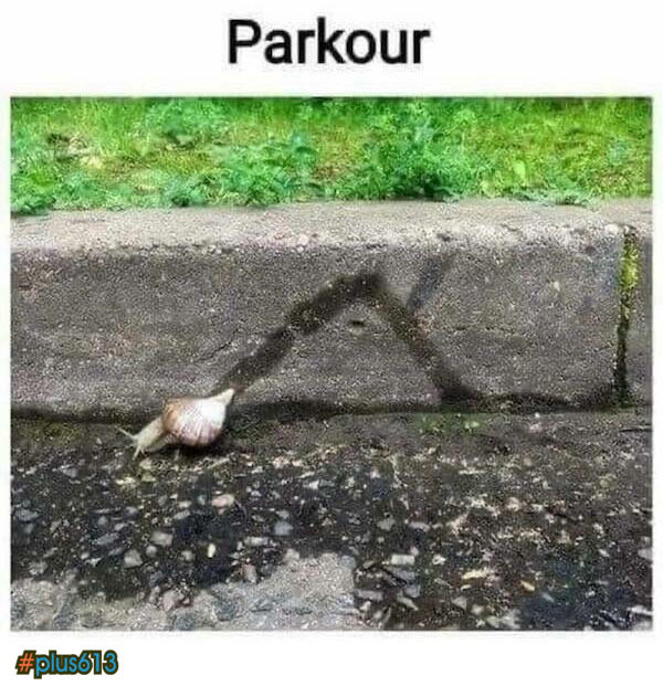 Parkour snail