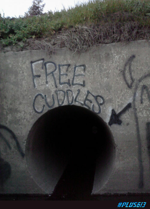 Free cuddles