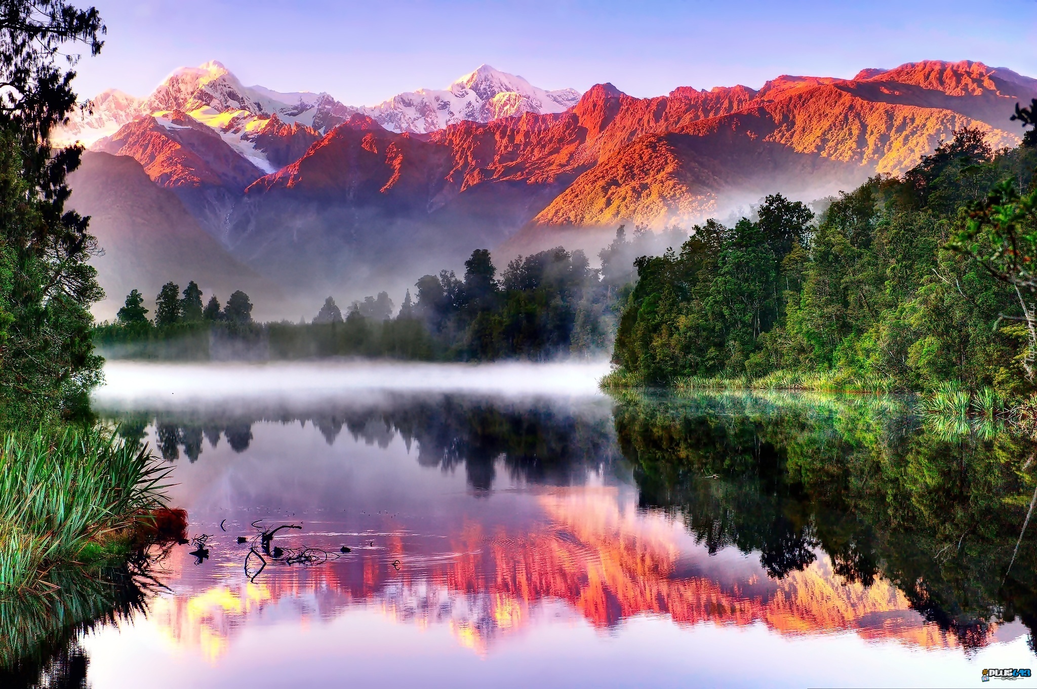 New Zealand - Wow