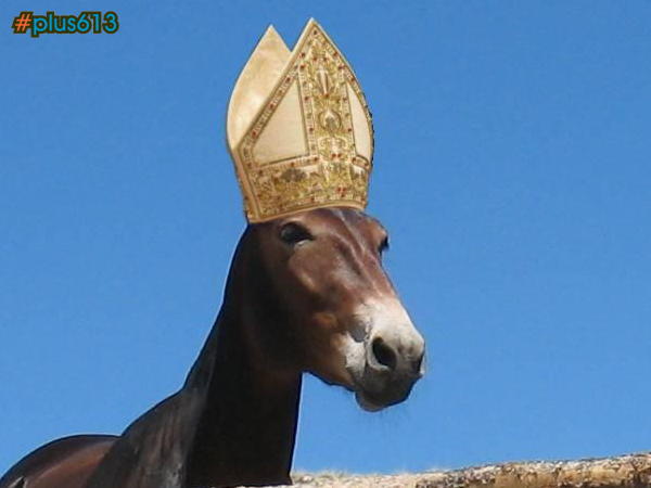 Pope Francis, the talking mule