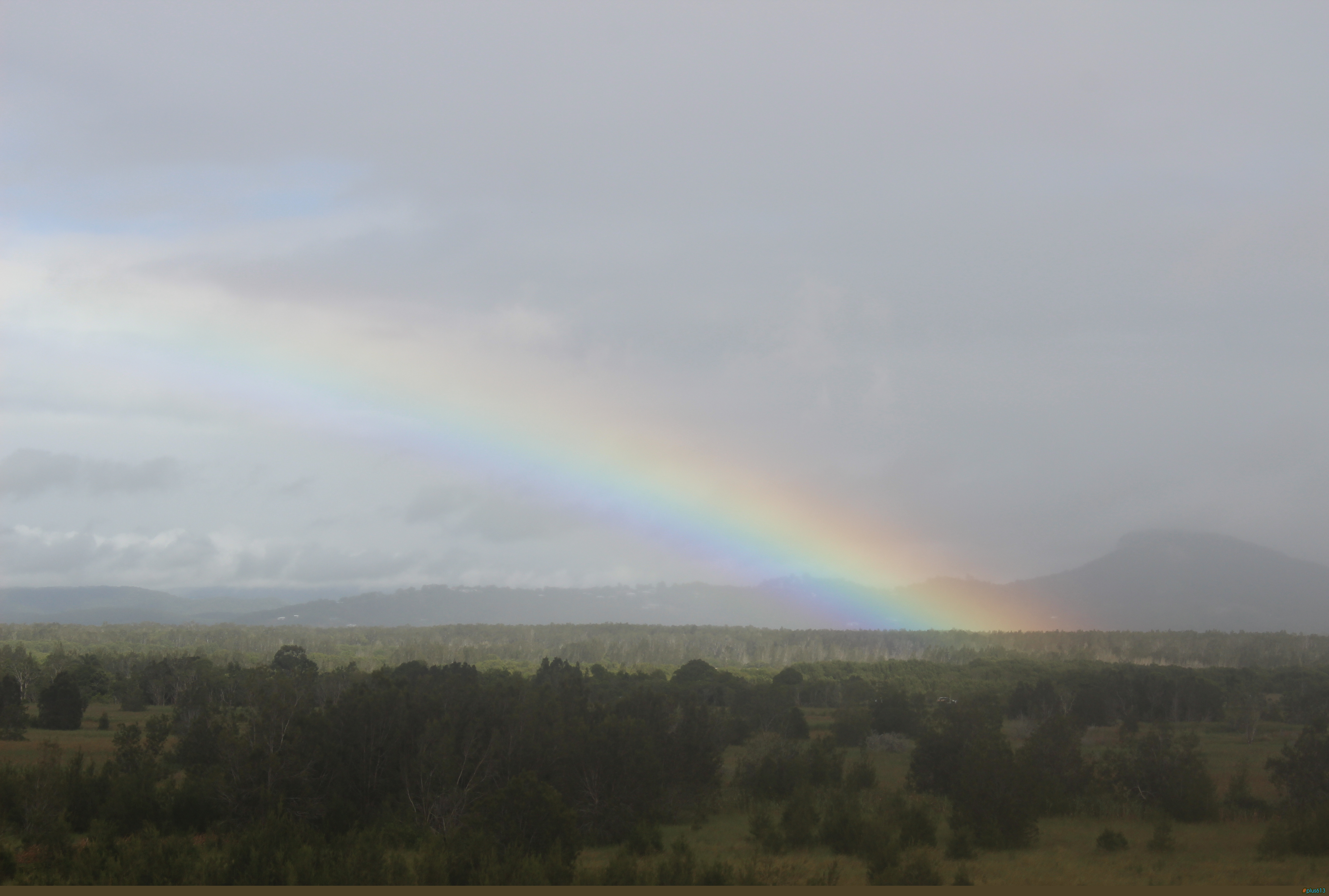 rainbow glimpse