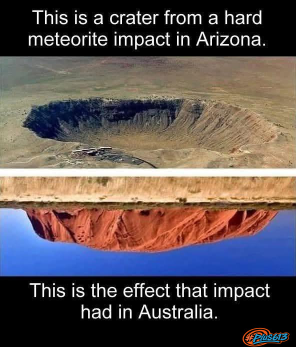 Newton's third law of motion