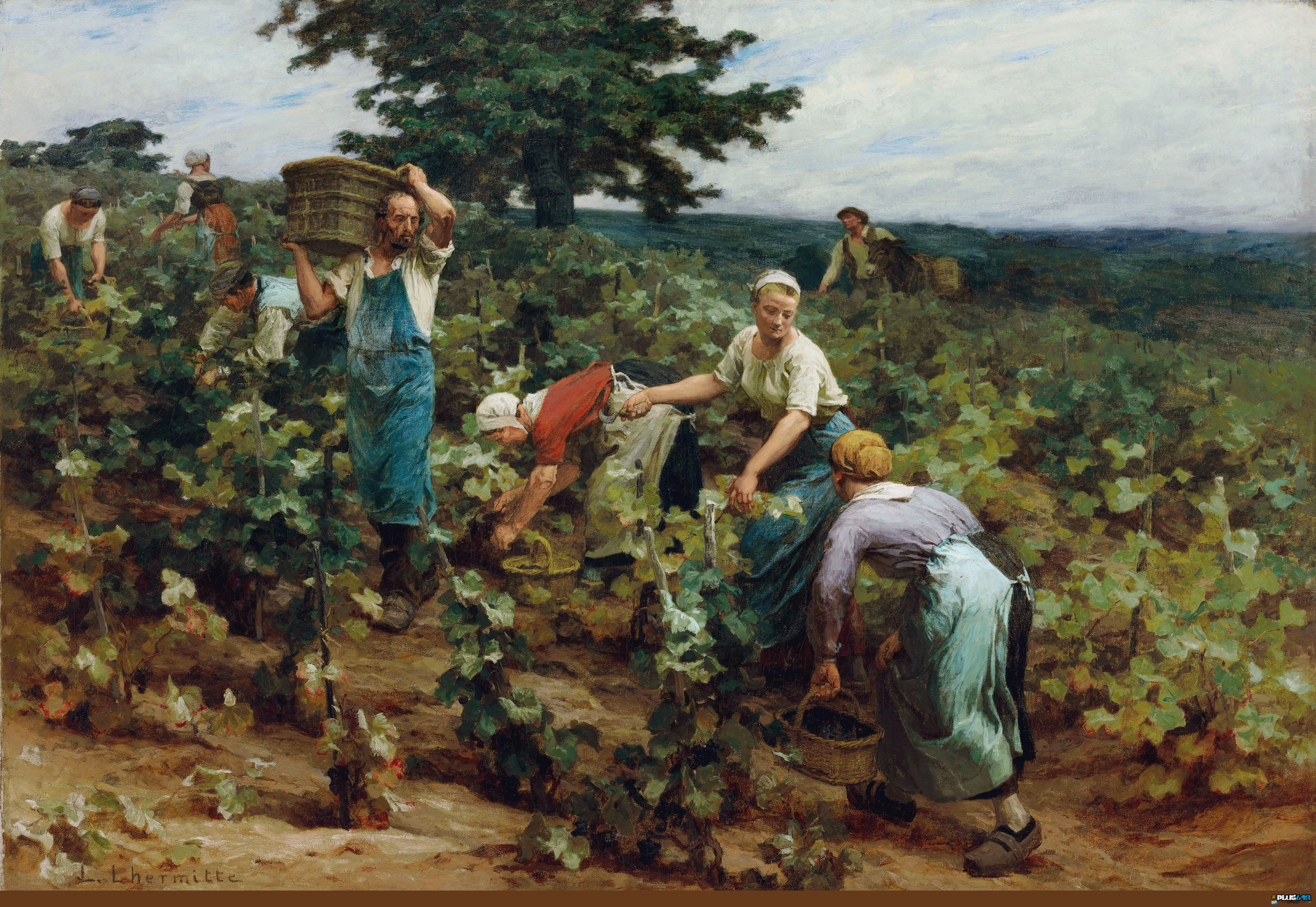 Wallpaper - The Harvest Of Mont St.Pere - What it's really like