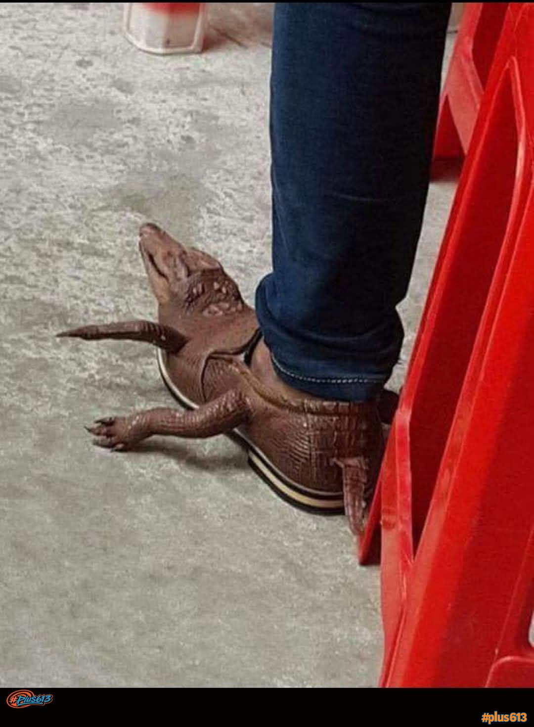 New crocs
