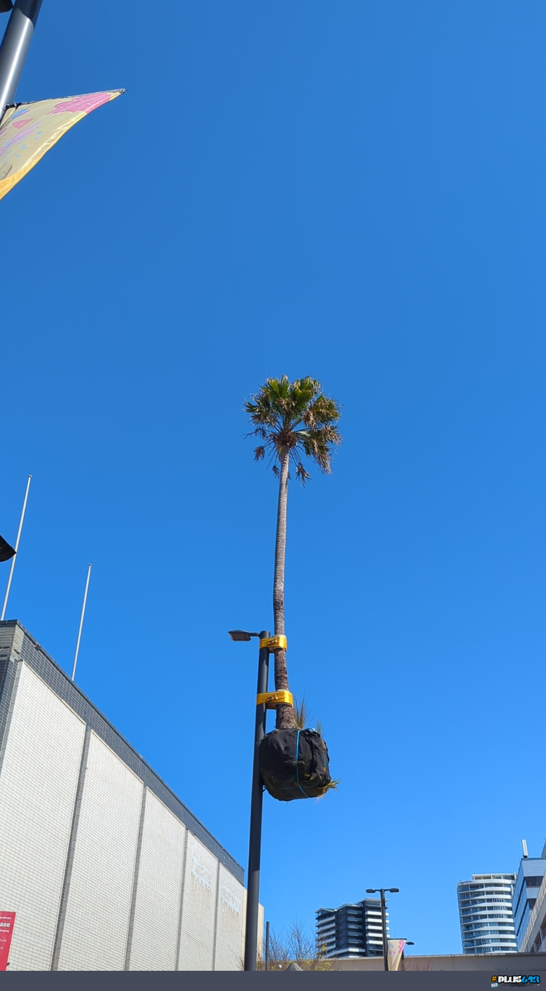 wtf wollongong? 