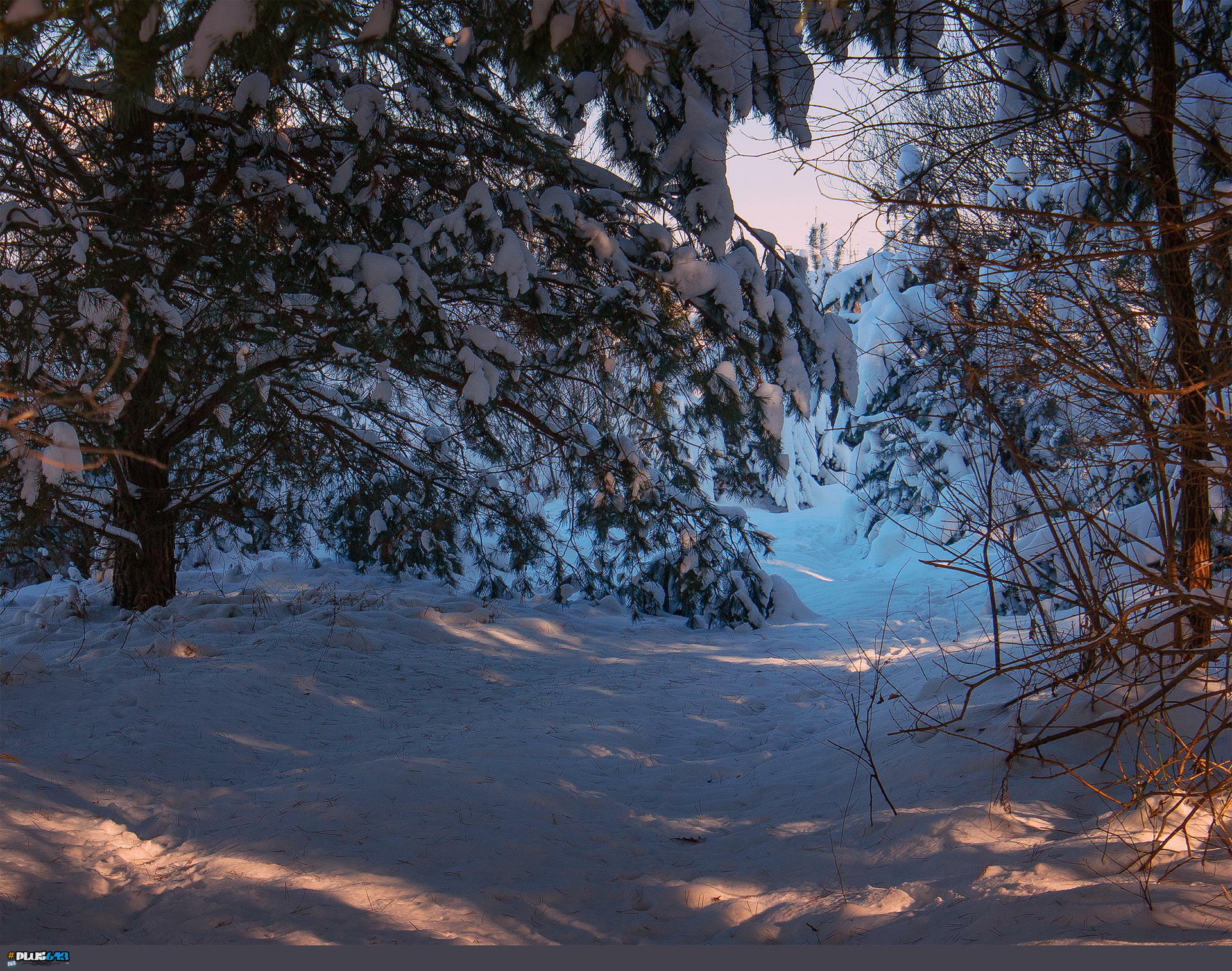 Wallpaper, winter scene, credit in file name.