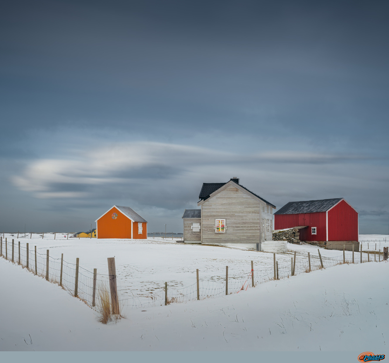 Norwegian Wood by Alex Hill