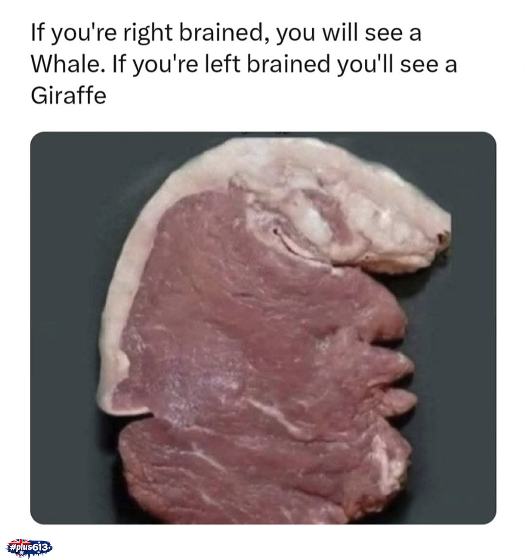 Brainynessing