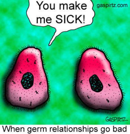 GERMS............................