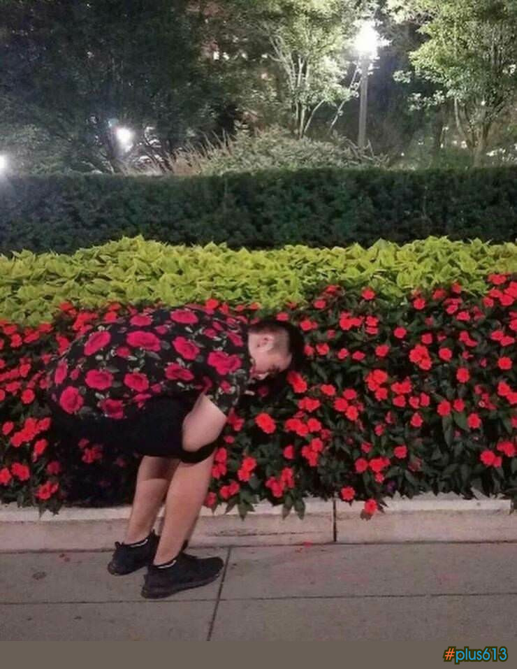 pulse at one with nature