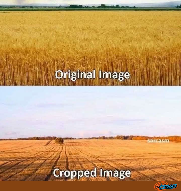 Grainy image