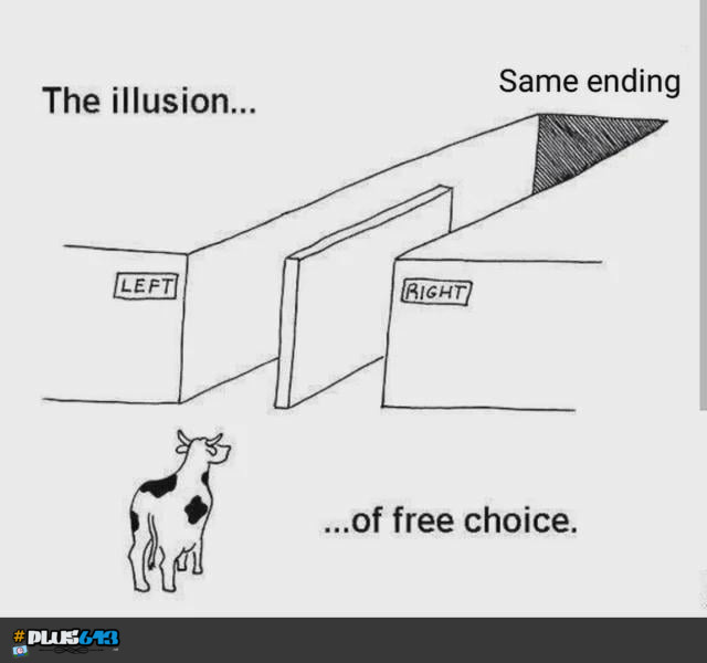 I can has choice?