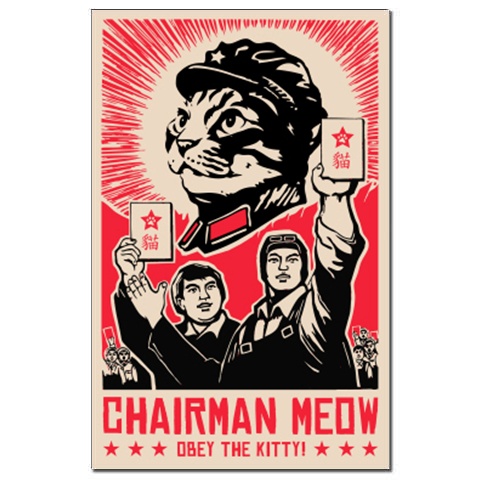 chairman meow